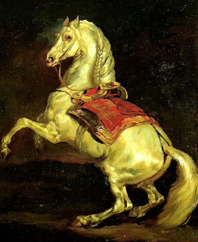 Theodore   Gericault cheval cabre, dit tamerlan china oil painting image